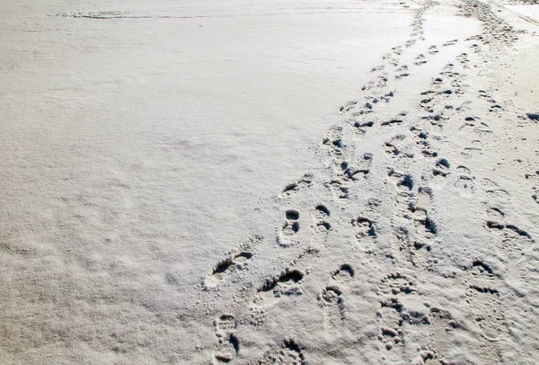 Impronte umane su un campo innevato. — Foto Stock