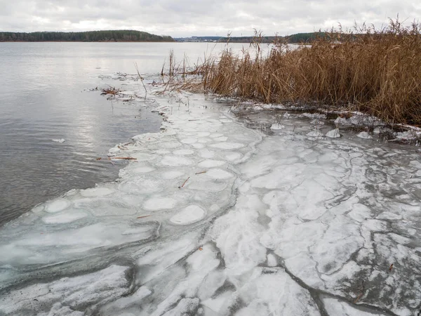 Замерзший и покрытый льдом берег озера. — стоковое фото
