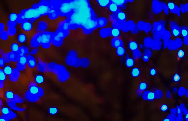 Blue electric lights hanging on the tree and giving a festive atmosphere at night. — Stock Photo, Image