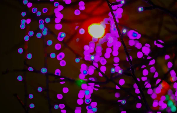 Beautiful purple bokeh on tree background at night. — Stock Photo, Image