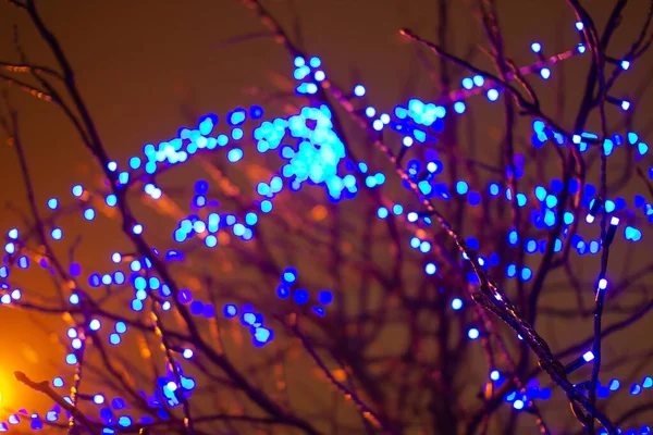 Nyår suddiga en bakgrund med ett träd — Stockfoto