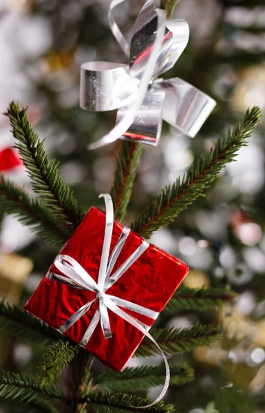 Red gift box and white bow on branch from Christmas tree. Royalty Free Stock Images