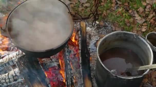 In zwei Töpfen auf dem Feuer, um Essen zu kochen. — Stockvideo