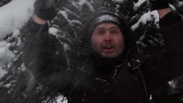 Человек на фоне зимнего зеленого хвойного дерева. — стоковое видео