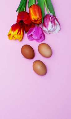 Tavuklu yumurta ve laleli Paskalya tebrik kartı..