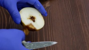 Hands in rubber gloves cutting a rotten apple.