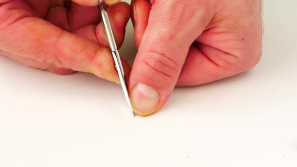 Hombre recortando las uñas con pequeñas tijeras solo sobre fondo blanco de cerca. — Vídeos de Stock