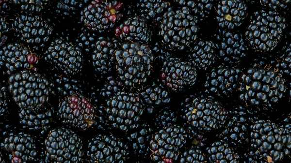 Fresas recién recogidas de jardín blackberry vista superior. — Foto de Stock