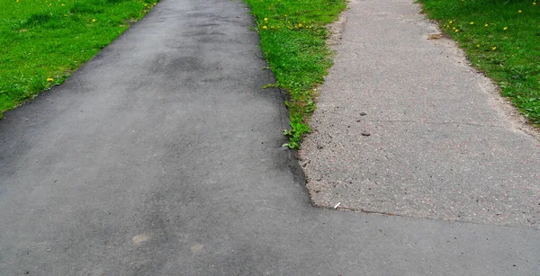 Dos caminos paralelos de asfalto en hierba verde. Imagen de archivo