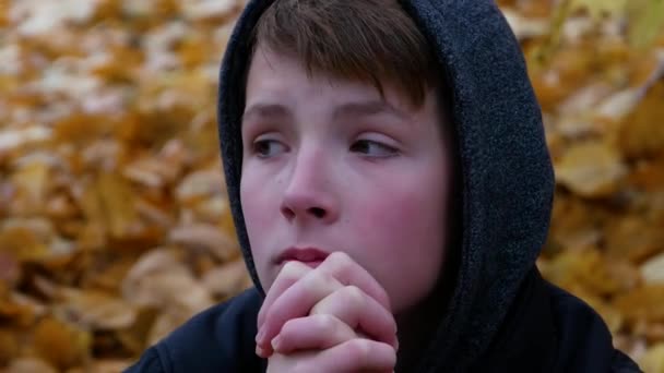 Portré egy aranyos fiú egy motorháztető hátterében őszi lombozat. — Stock videók