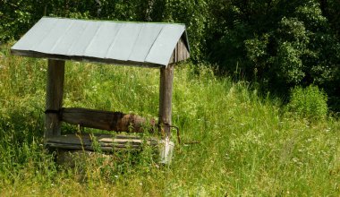 Ormandaki ahşap kuyu.