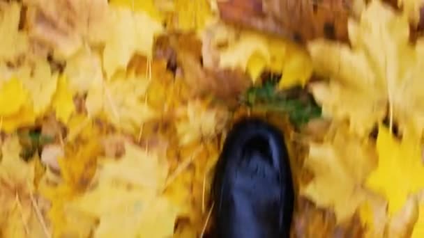 Pieds en pantalon bleu et bottes noires marchent sur le feuillage jaune automne. — Video