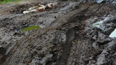 Kötü havalarda sonbaharda toprak yol.