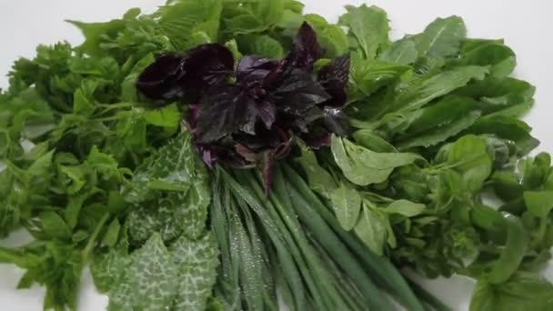 Een set van verschillende greens voor het maken van salades en bijgerechten. — Stockvideo