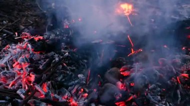 Geceleri ormanda kamp ateşinde fırında patates pişirmek..
