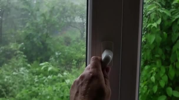 Eine Hand öffnet ein Fenster mit Blick auf den Garten in einem Taifun. — Stockvideo