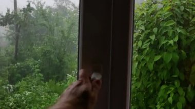 Bir adam yeşil arka planı ve sağanak yağmurlu bir bahçe arkaplanının penceresini açıyor.. 