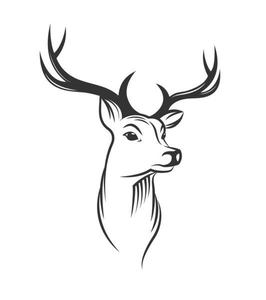 Deer head on white background — Stock Vector