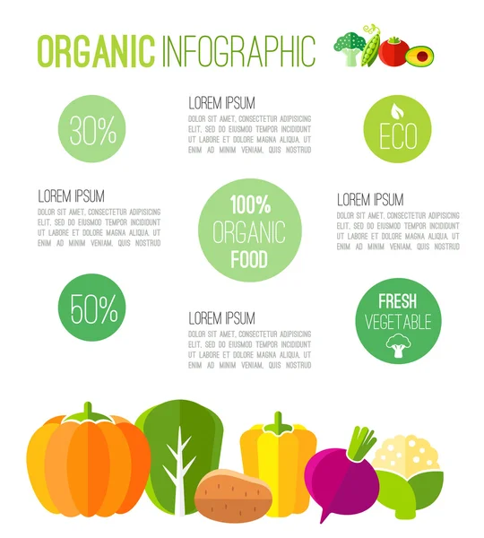 Organické infographic čerstvá zelenina ilustrace — Stockový vektor