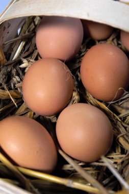 Sepetteki yumurtalar
