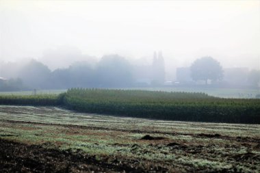 Rüzgar türbinleri çiftlik gücü
