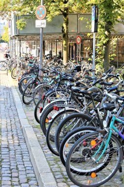 Bisiklet süren kişi