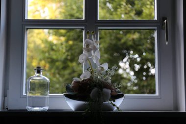 Pencereden görünüm