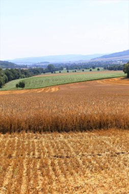 bir tarlada saman balyaları