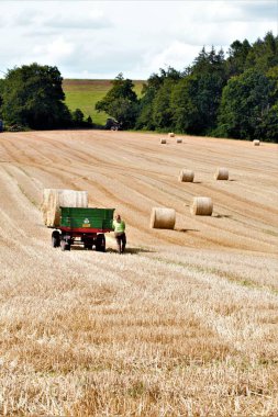 Eski paslı traktör çiftliği