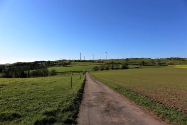 Sabahları kırsal alan