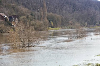 Göldeki ağaçların yansıması