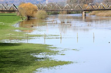 Göldeki ağaçların yansıması