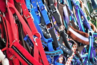 Gömleğin düğmesini kapat