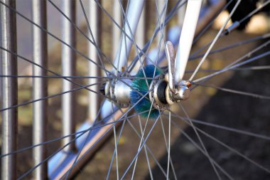 Motosikletin tekerine yakın çekim