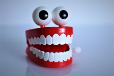 diş fırçası gülümsemesi