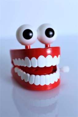 diş fırçası gülümsemesi