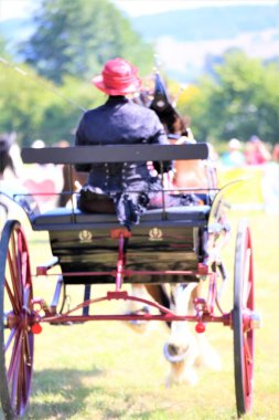 At ve at arabası çiftliği