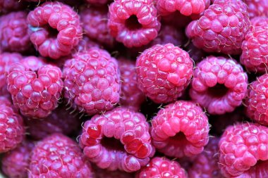 Beyaz arka planda taze ahududu