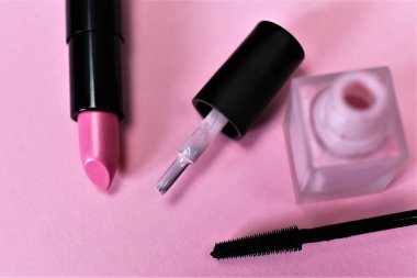 fırçalı makyaj paleti