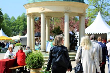 Bir kadeh kırmızı şarap.