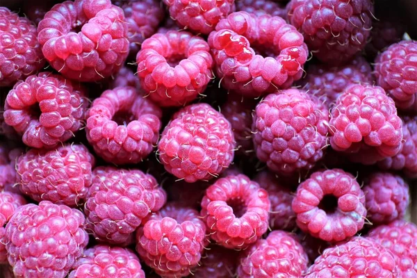 Framboises Fraîches Sur Fond Blanc Photo De Stock