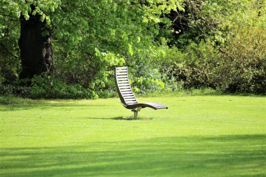 Ormandaki eski ahşap ev