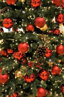 Bir Noel Görüntüsü