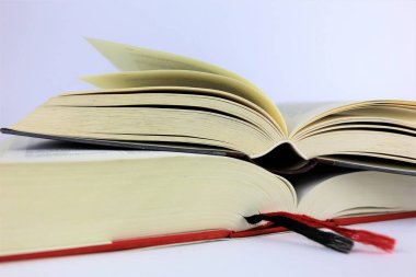 Bir kitabın resmi, açık saçık.