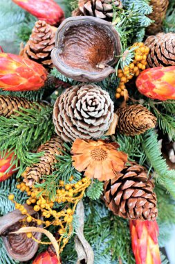 Bir Noel Görüntüsü