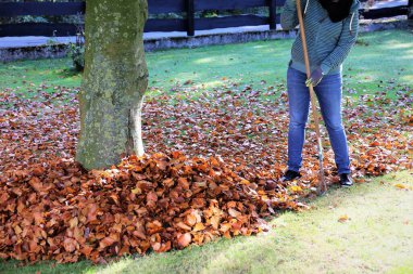 Sonbaharın başlangıcı.