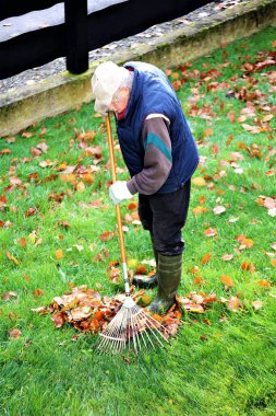 Bahçıvanlık yapan yaşlı bir adamın resmi.