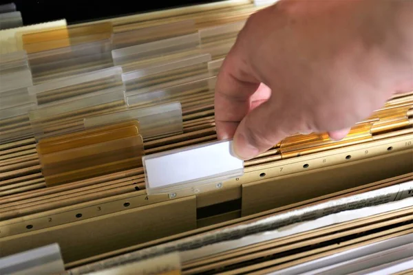 Kopya alanı olan renkli bir kayıt klasörünün konsept resmi