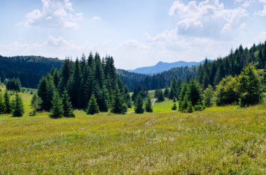 Tepelerde pastoral manzara