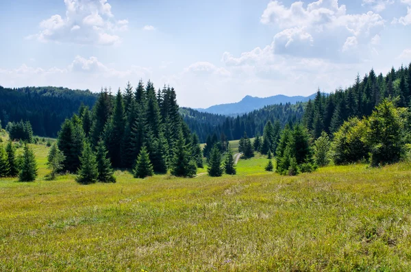 Idyllic landscape in the hills — Stock Photo, Image